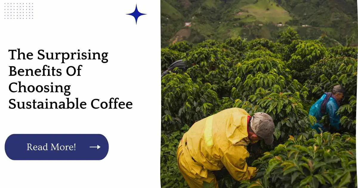 Sustainability In the Coffee Industry