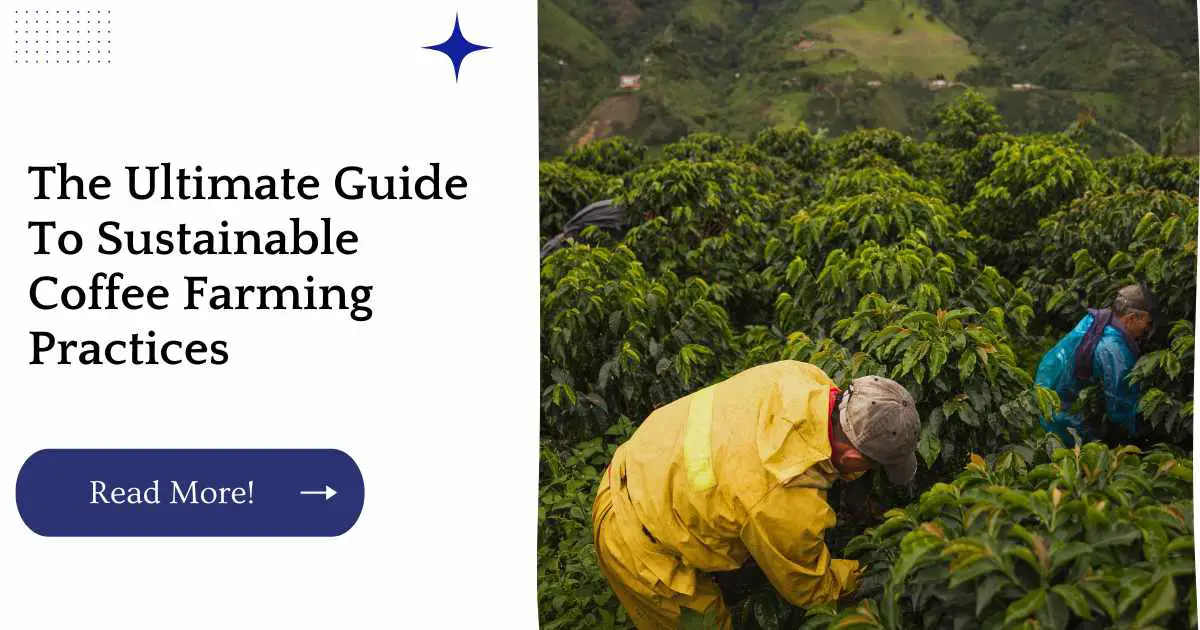 The Ultimate Guide To Sustainable Coffee Farming Practices