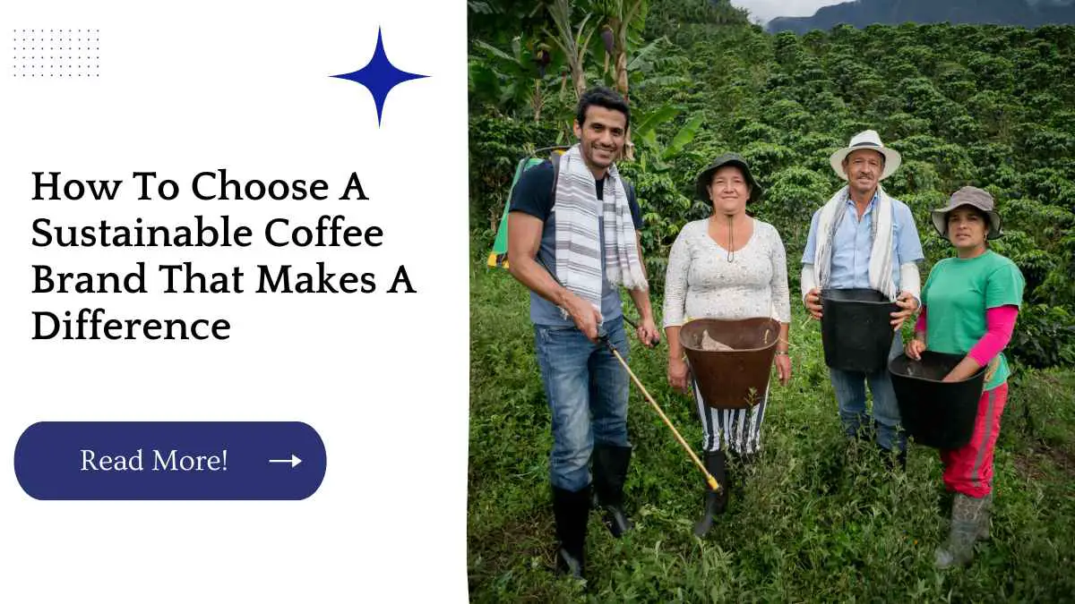 How To Choose A Sustainable Coffee Brand That Makes A Difference
