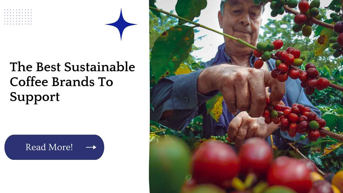 The Best Sustainable Coffee Brands To Support