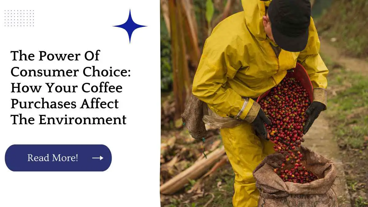 The Power Of Consumer Choice: How Your Coffee Purchases Affect The Environment